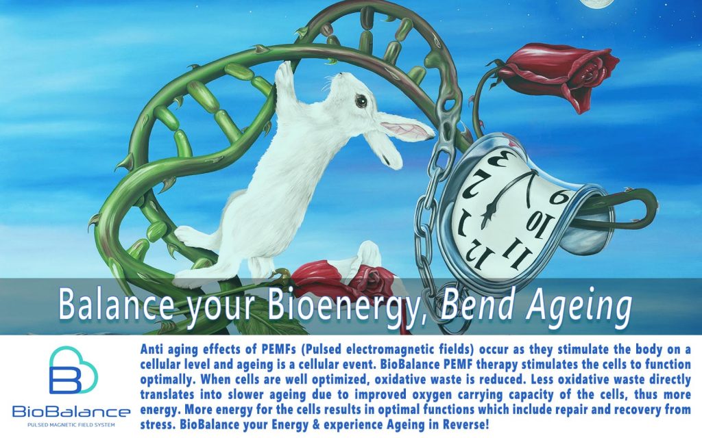 Painting of a rabbit climbing a vine that is shaped as double helix with the text below stating "Balance your bioenergy, bend aging"