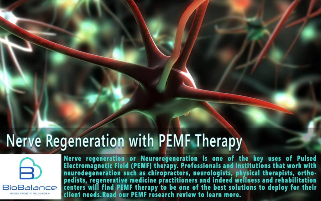 Nerves CGI with text below stating "Nerve Regeneration with PEMF Therapy"